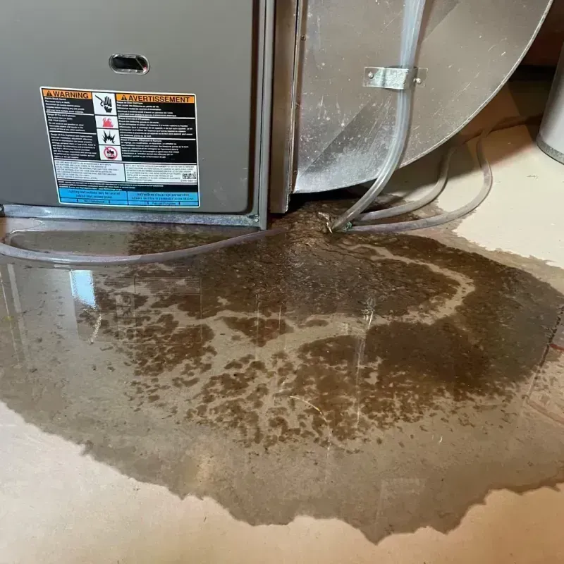 Appliance Leak Cleanup in Beaverhead County, MT